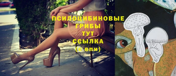 гидропоника Володарск