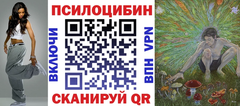Купить где Боровск Псилоцибиновые грибы Psilocybine cubensis